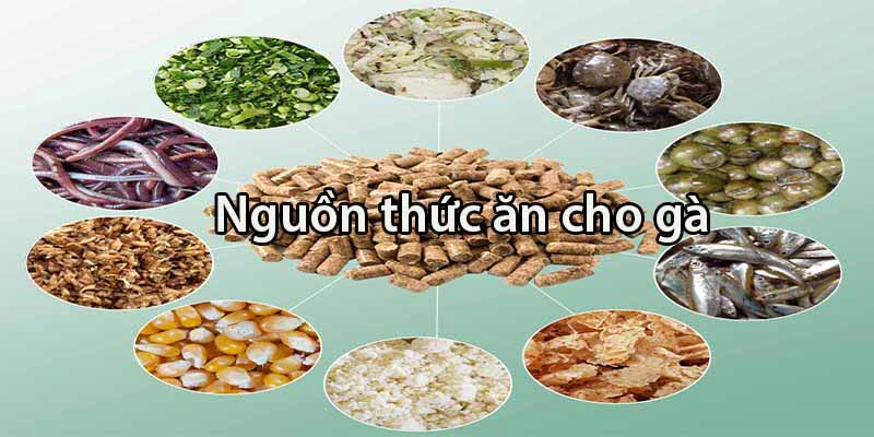 Đảm bảo chế độ ăn giàu dinh dưỡng.