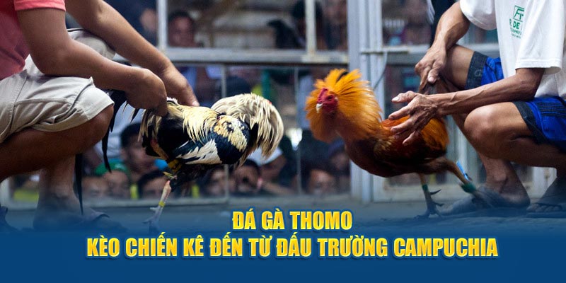 Thông thường những trận đá gà kéo dài từ 10 đến 15 phút mỗi hiệp