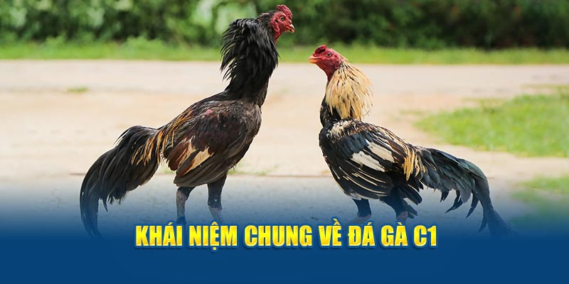 Khái niệm chung về đá gà C1