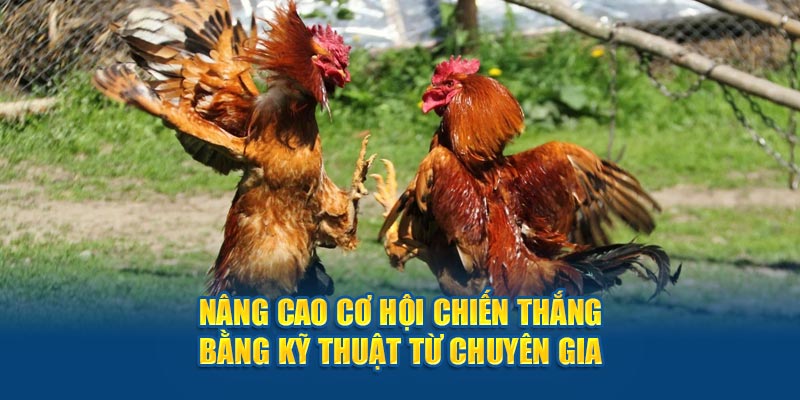 Nâng cao cơ hội chiến thắng bằng kỹ thuật từ chuyên gia