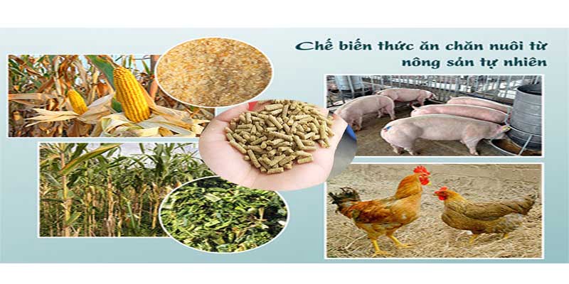 Mỗi loại thức ăn đều đóng một vai trò thiết yếu trong việc cung cấp năng lượng