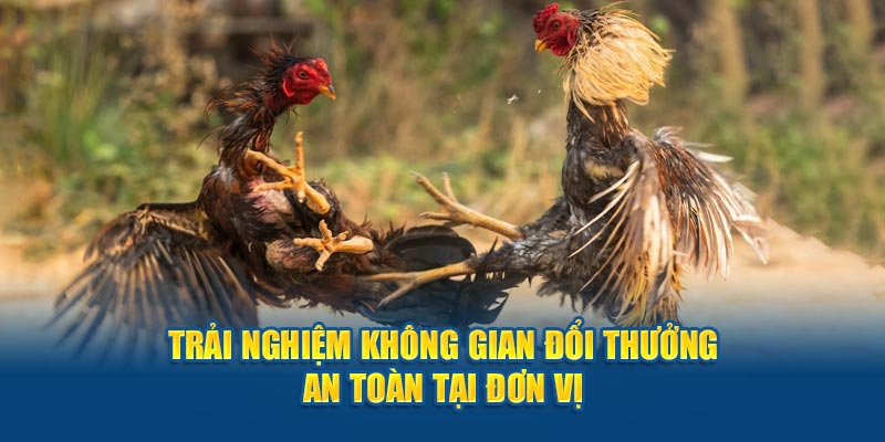 Trải nghiệm không gian đổi thưởng an toàn tại đơn vị